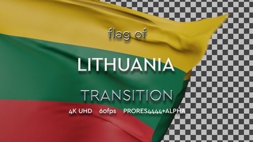 Waving Flag Reveal Transition