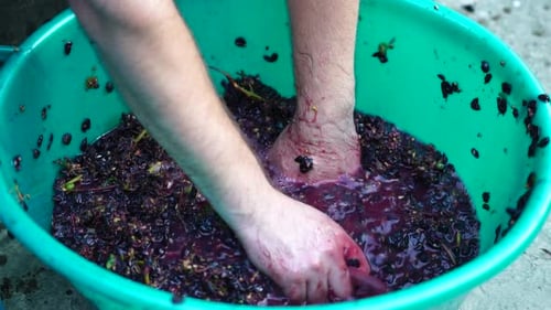 Person Crushing Grapes by Hand and Foot for Wine