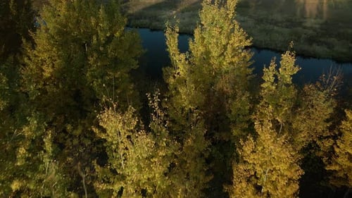 Park area. A winding river. Trees with yellow autumn leaves are visible. Aerial photography.