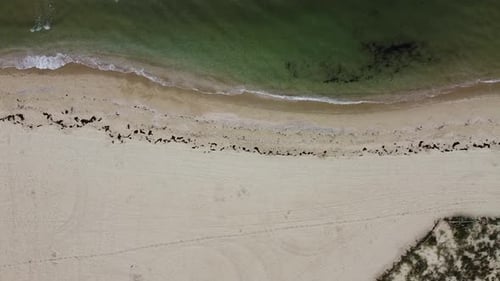 Meer und Sand