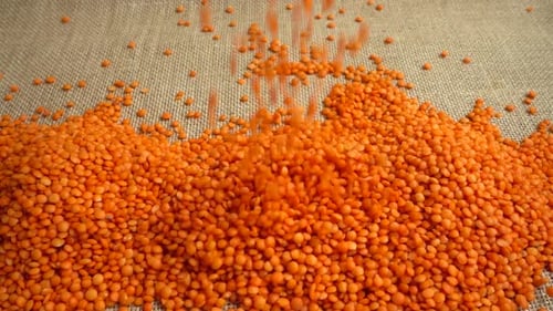Pouring Red Lentils on Burlap Background