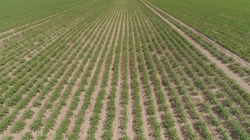Aerial View of Farmland