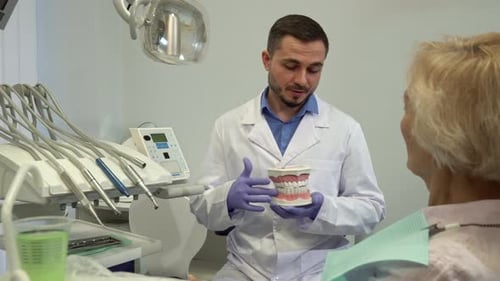 Dentist Explaining Dental Health to Patient in Office