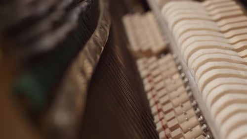 Movement of Hammers Inside Piano View From Inside the Instrument
