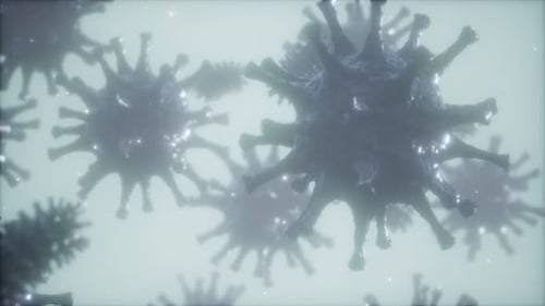 Animated Viruses and Bacteria Cells in Microscopic View