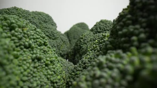 Fresh Green Broccoli 58