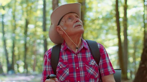Senior Old Caucasian Tourist Hiker Grandfather Training Nordic Walking with Trekking Poles in Forest
