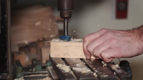 Young Carpenter Working in His Workshop