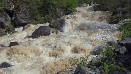 Schnell fließender tobender schäumender schlammiger Fluss im Wald