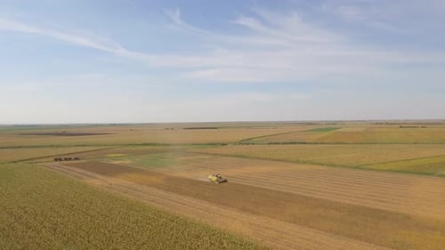 Combine Harvester Working in Golden Agricultural Field