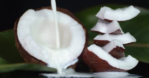 Coconut Half Receiving White Liquid, Tropical Vibe