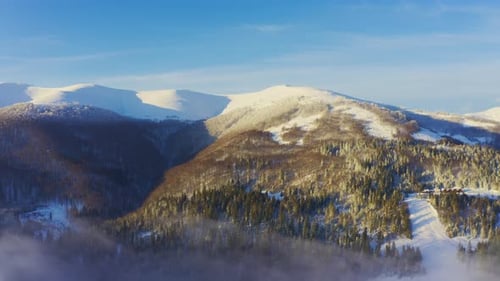 High Snowy Mountain Covered with Evergreen Fir Trees on a Sunny Cold Day