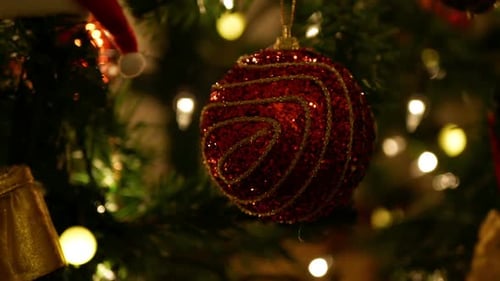 Red Christmas Ornament Hanging on Tree Branch