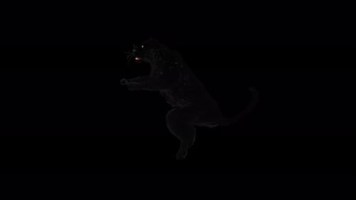Cinematic Black Panther 3D Animation for Wildlife Projects