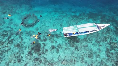 Aerial Snorkeling in Coral Reef