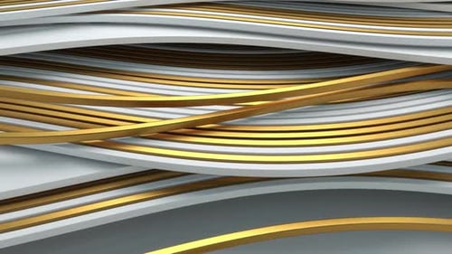 Elegant Gold and White Fluid Abstract Background Loop