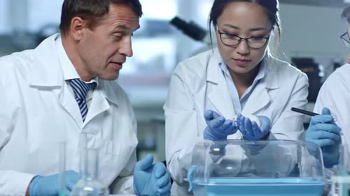 Scientists Studying Mouse in Bright Lab