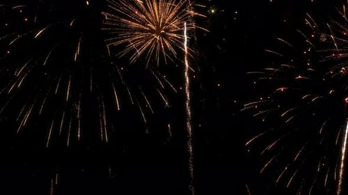 Golden Fireworks Exploding in the Dark Night Sky