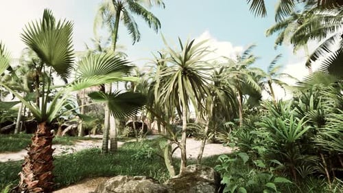 Lush Tropical Island Jungle Landscape Loop Animation