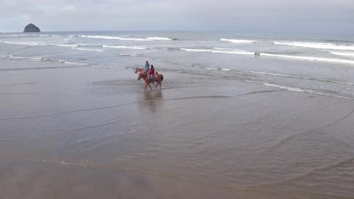 Aerial view of women riding horses at beach