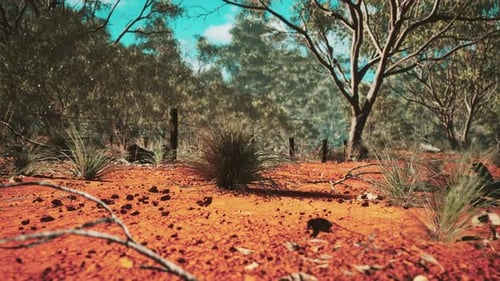 Realistic Panning Shot of Arid Outback Landscape