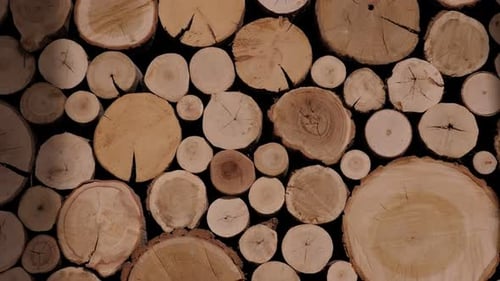 Woodpile of Cut Tree Trunks on Black Background