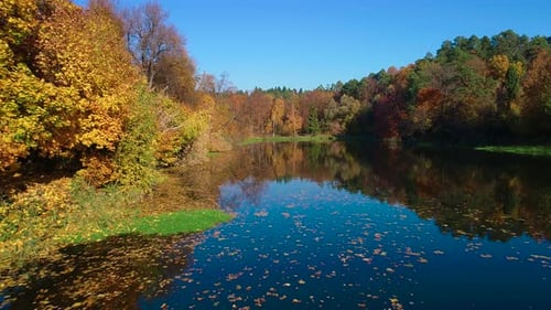 Bois de forêt d'automne coloré sur le lac