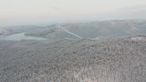 Vol en Drone au-dessus d'une forêt d'hiver et d'une autoroute au milieu des collines en soirée