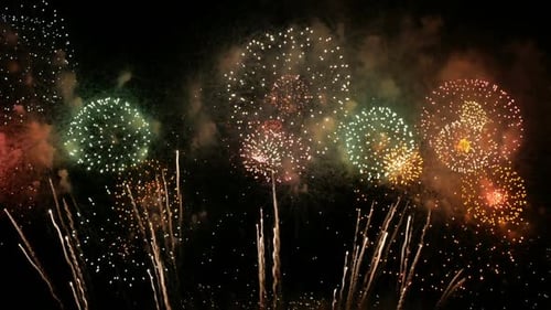 Colorful Fireworks Exploding in the Night Sky