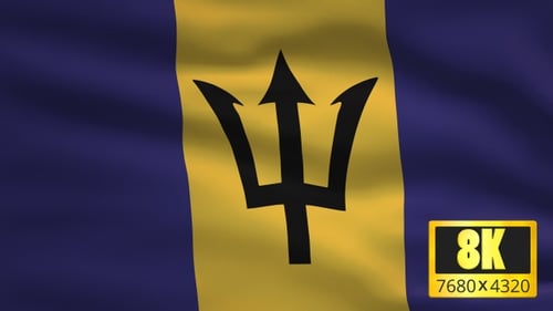 Barbados National Flag Waving Loop