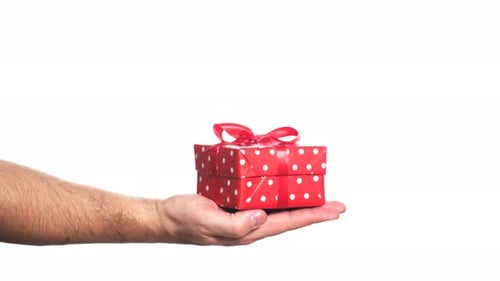 Hand Offers a Beautifully Wrapped Birthday Present