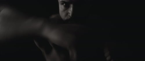 Boxer