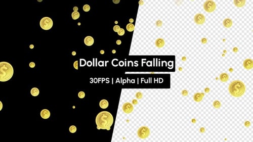 Falling Golden Dollar Coins Animation