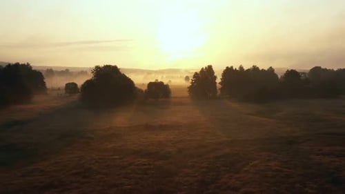 Drone Flying Over Beautiful Misty Forest Valley and Small River Covered with Fog on Epic Golden Hazy