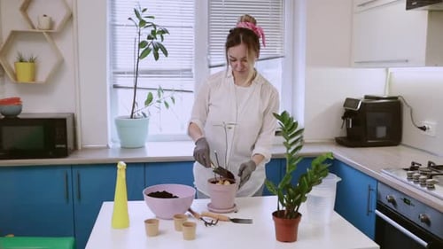 A Cute Girl Transplants a Plant at Home in Garden Gloves
