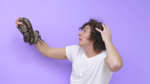Nahaufnahme einer Schlange, die auf dem Arm eines Mannes kriecht