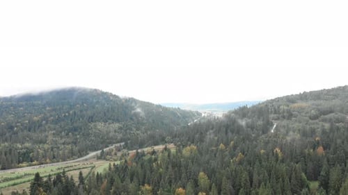 Ukrainian Carpathian Mountains. Mountains and forest in fog