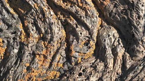 Solidified Lava Rock