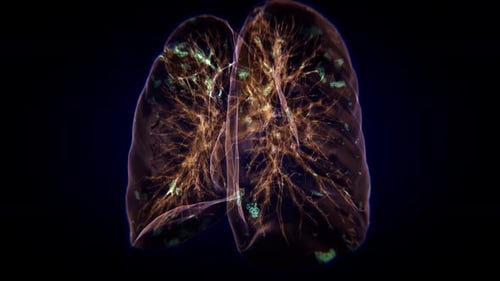 3D Animated Lungs with Glowing Internal Structures and Particles