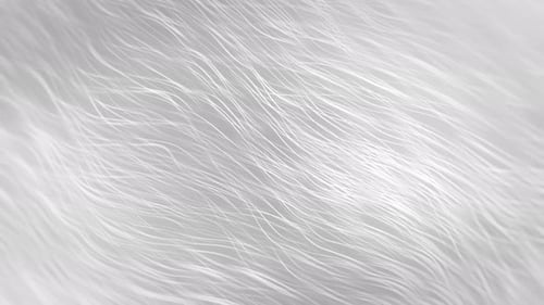 White Wavy Lines
