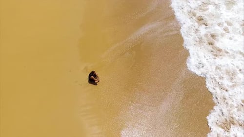 Caribbean Golden Unspoiled Sandy Beach