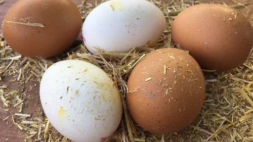Eier drehen Strohhalm