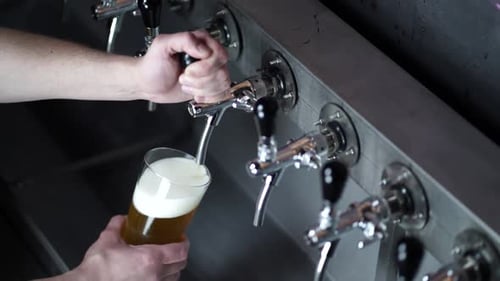 bartender pouring a pint of beer from stainless steel tap