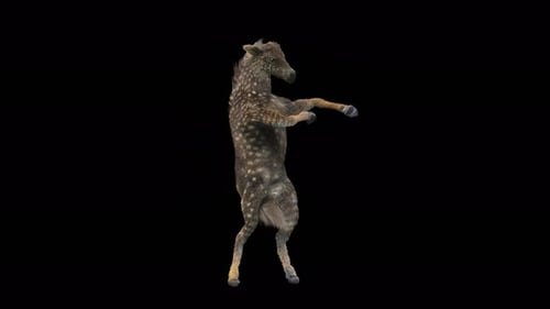 Animated Dancing Deer with Funny Moves on Transparent Background