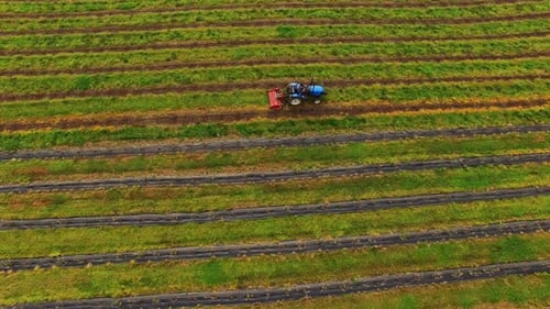 Tractor Agriculture