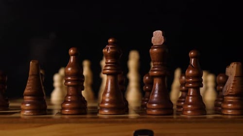 Macro slide shot behind chess figures.