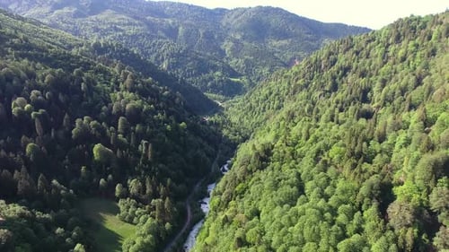 River and Dirt Mountain Road of Valley in Forest