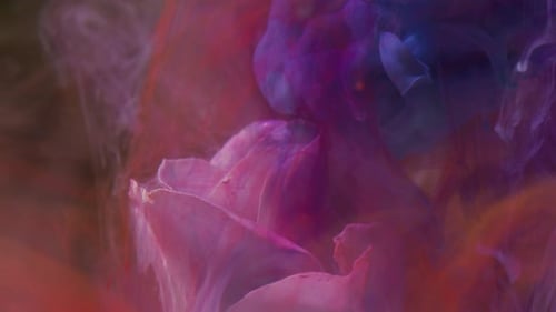 Flower With Water Droplets and Colorful Ink