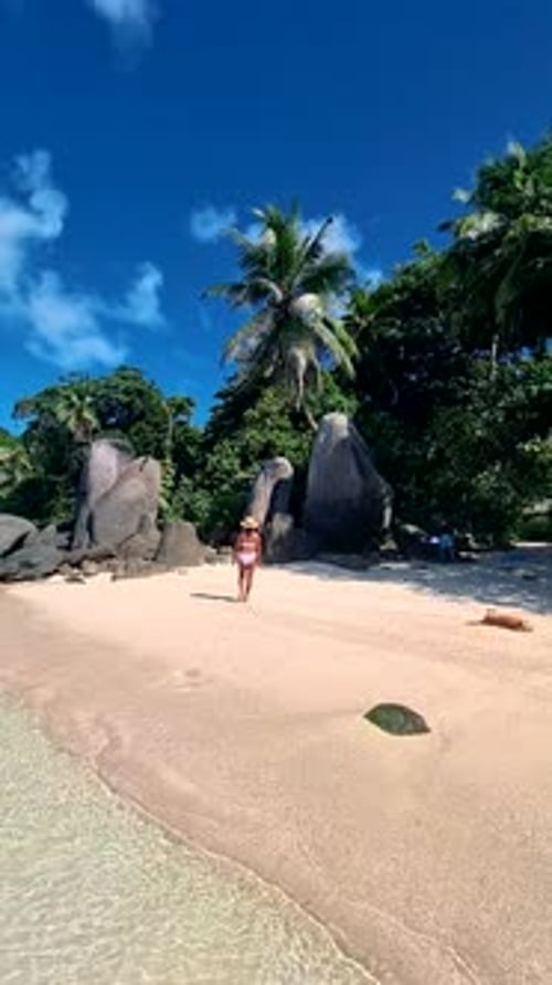 Mahe Seychelles Tropical Beach with Palm Trees and a Blue Ocean at Mahe Seychelles Anse Royale Beach