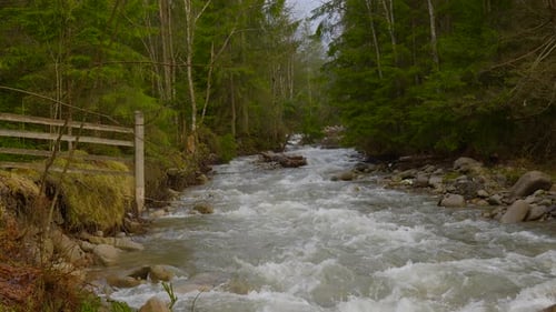 Arroyo de montaña que fluye a través de un